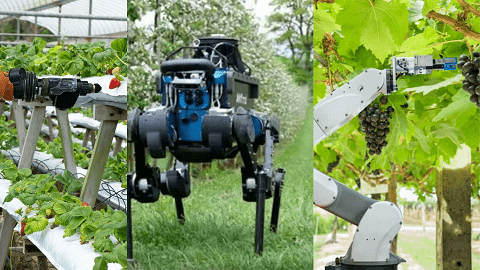 Robotics for Commercial farming