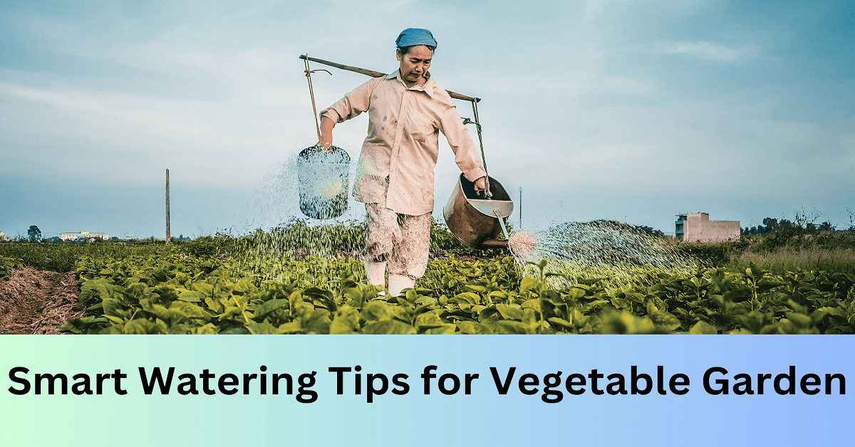 Watering Tips for A Vegetable Garden