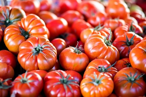 Tomato Costoluto Fiorentino