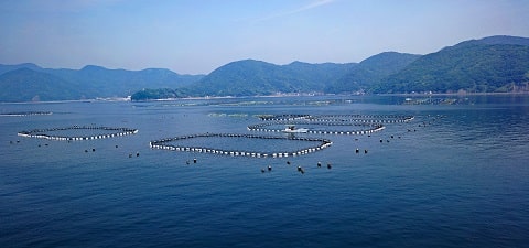 Eco-Friendly Fish Farming Site