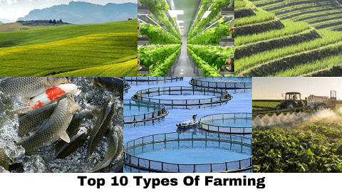 Types Of Farming
